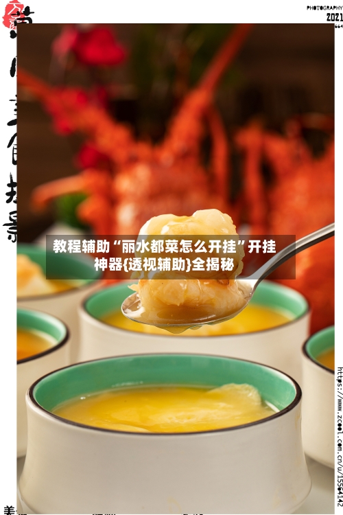教程辅助“丽水都菜怎么开挂	”开挂神器{透视辅助}全揭秘-第2张图片