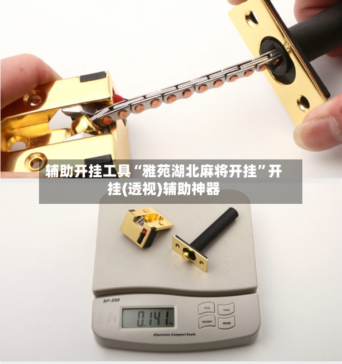 辅助开挂工具“雅苑湖北麻将开挂”开挂(透视)辅助神器-第2张图片