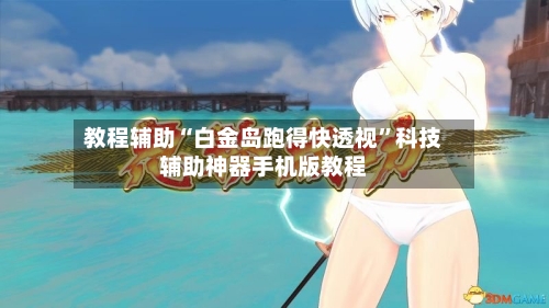 教程辅助“白金岛跑得快透视	”科技辅助神器手机版教程-第2张图片