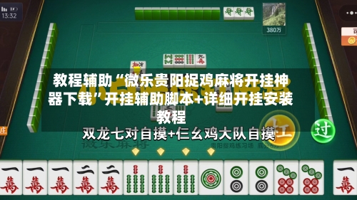 教程辅助“微乐贵阳捉鸡麻将开挂神器下载	”开挂辅助脚本+详细开挂安装教程-第2张图片