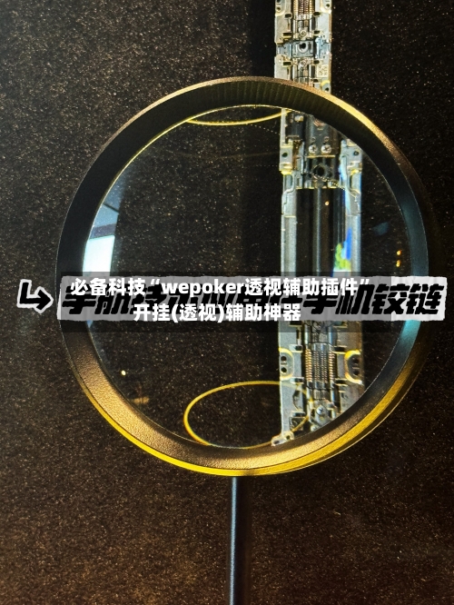 必备科技“wepoker透视辅助插件	”开挂(透视)辅助神器-第3张图片