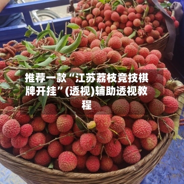 推荐一款“江苏荔枝竞技棋牌开挂”(透视)辅助透视教程-第3张图片