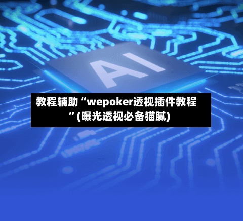 教程辅助“wepoker透视插件教程”(曝光透视必备猫腻)-第2张图片