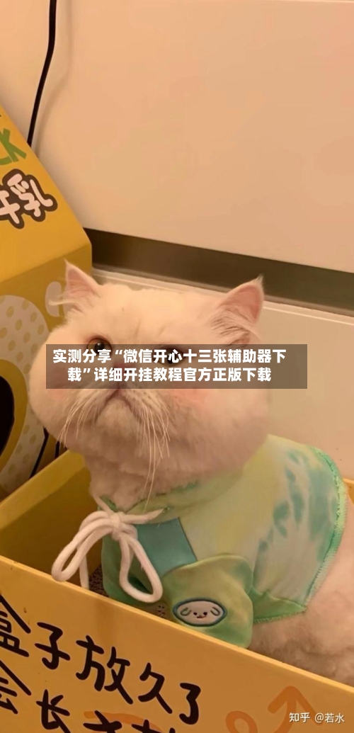 实测分享“微信开心十三张辅助器下载”详细开挂教程官方正版下载-第2张图片