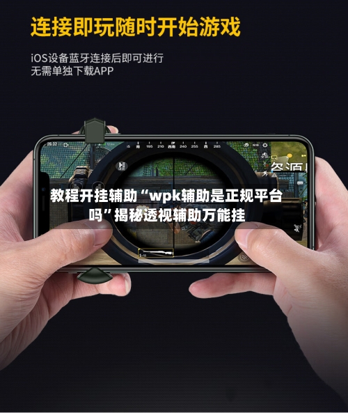 教程开挂辅助“wpk辅助是正规平台吗”揭秘透视辅助万能挂-第2张图片