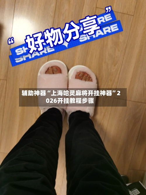 辅助神器“上海哈灵麻将开挂神器”2026开挂教程步骤-第3张图片