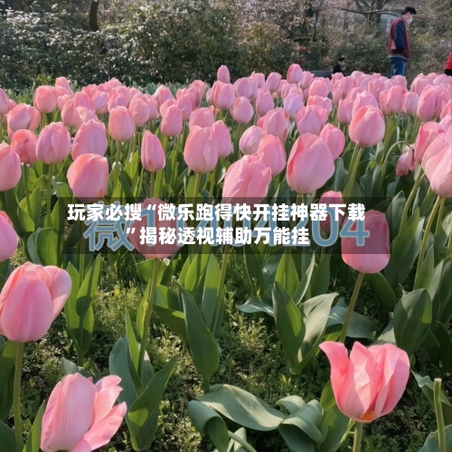 玩家必搜“微乐跑得快开挂神器下载	”揭秘透视辅助万能挂-第2张图片