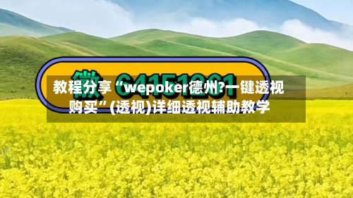 教程分享“wepoker德州?一键透视购买”(透视)详细透视辅助教学-第2张图片