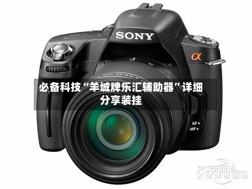 必备科技“羊城牌乐汇辅助器	”详细分享装挂-第2张图片