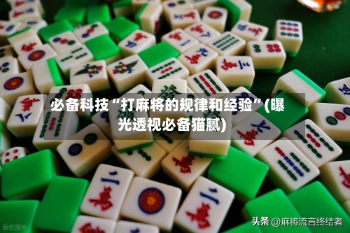 必备科技“打麻将的规律和经验	”(曝光透视必备猫腻)-第2张图片