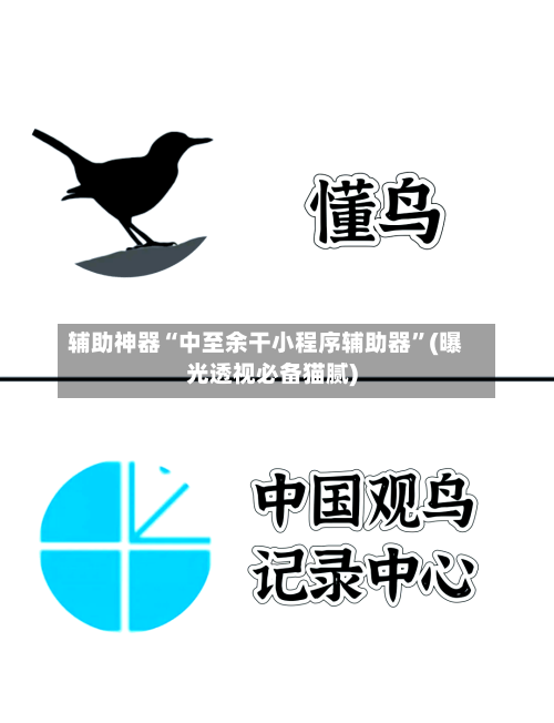 辅助神器“中至余干小程序辅助器”(曝光透视必备猫腻)-第2张图片