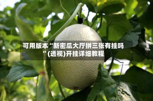 可用版本“新密瓜大厅拼三张有挂吗	”(透视)开挂详细教程-第2张图片