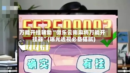 万能开挂辅助“微乐云南麻将万能开挂器”(曝光透视必备猫腻)