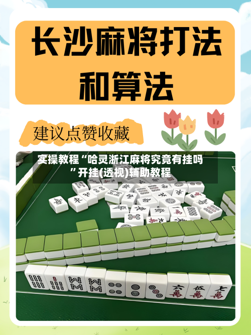 实操教程“哈灵浙江麻将究竟有挂吗”开挂(透视)辅助教程-第2张图片
