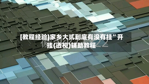 [教程经验]家乡大贰到底有没有挂	”开挂(透视)辅助教程-第2张图片