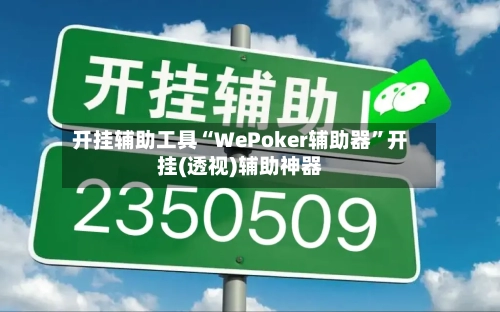 开挂辅助工具“WePoker辅助器”开挂(透视)辅助神器-第2张图片