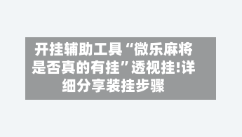 开挂辅助工具“微乐麻将是否真的有挂	”透视挂!详细分享装挂步骤-第2张图片