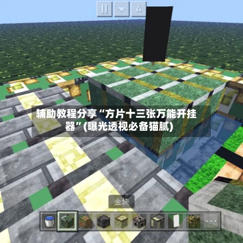 辅助教程分享“方片十三张万能开挂器	”(曝光透视必备猫腻)-第2张图片