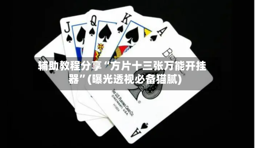 辅助教程分享“方片十三张万能开挂器”(曝光透视必备猫腻)-第3张图片