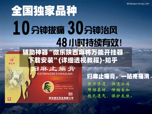 辅助神器“微乐陕西麻将万能开挂器下载安装”(详细透视教程)-知乎-第2张图片