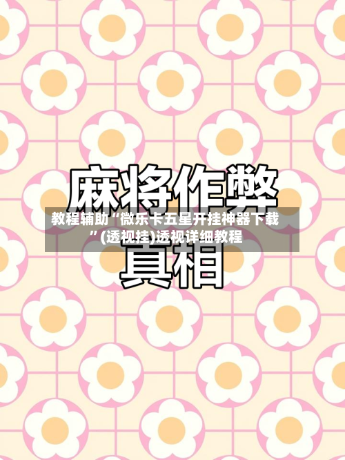教程辅助“微乐卡五星开挂神器下载”(透视挂)透视详细教程-第2张图片