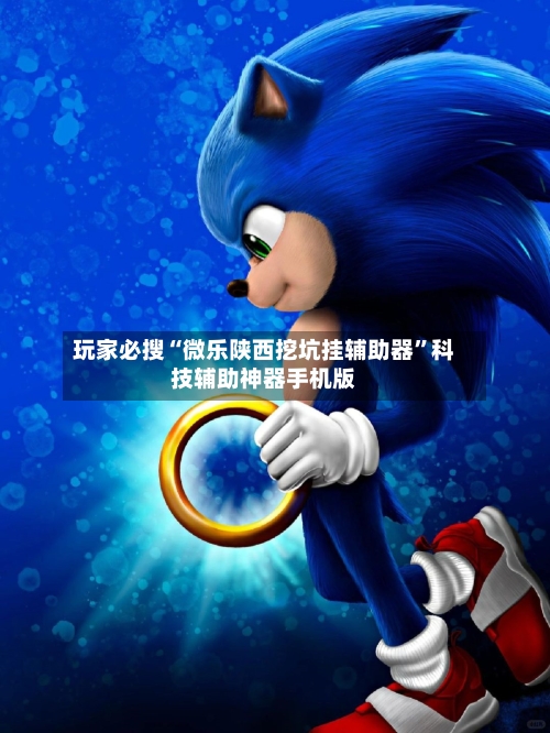 玩家必搜“微乐陕西挖坑挂辅助器”科技辅助神器手机版-第2张图片