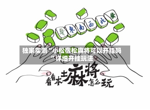 独家实测“小松宿松麻将可以开挂吗”详细开挂玩法-第2张图片