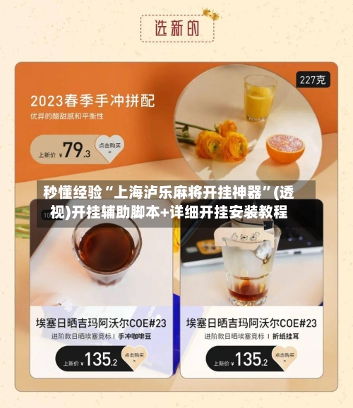 秒懂经验“上海泸乐麻将开挂神器	”(透视)开挂辅助脚本+详细开挂安装教程-第2张图片