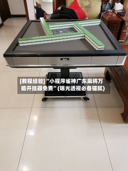 [教程经验]“小程序雀神广东麻将万能开挂器免费	”(曝光透视必备猫腻)-第2张图片