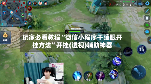 玩家必看教程“微信小程序干瞪眼开挂方法”开挂(透视)辅助神器-第2张图片