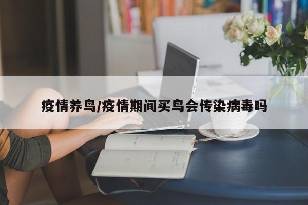 疫情养鸟/疫情期间买鸟会传染病毒吗