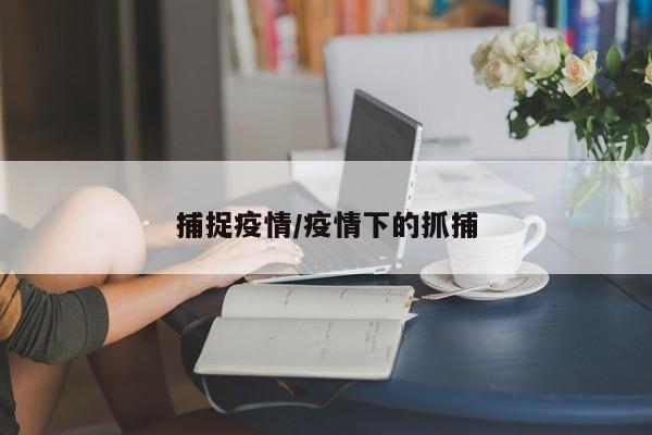 捕捉疫情/疫情下的抓捕
